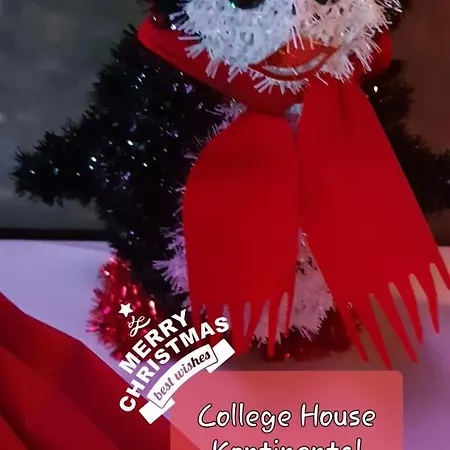 Dyssegaard * 金塔夫特