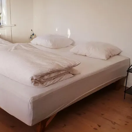 Dyssegaard 金塔夫特